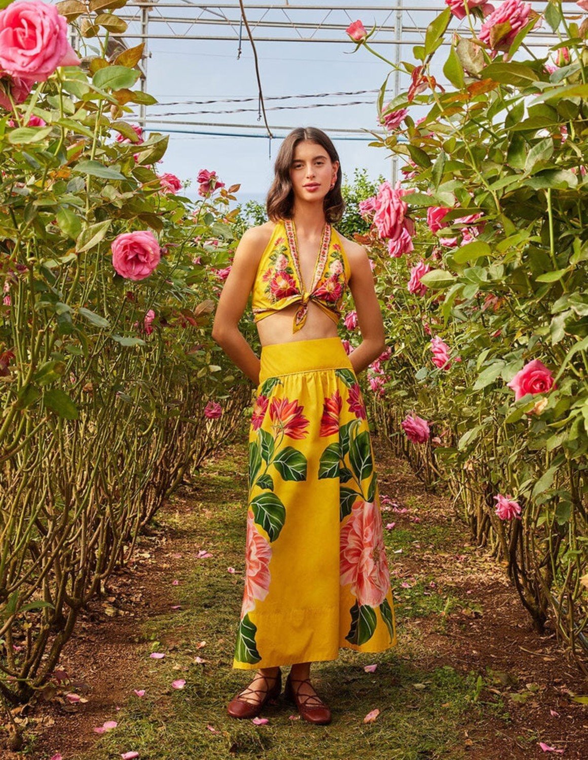 Colorful Wear Store -Colorful Wear Store 23704 zoom