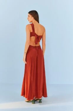 Farm Rio Brown Maxi Dress -Colorful Wear Store 306899 04